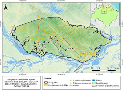 Assessing the invasive potential of Saguinus midas in the extent of occurrence of the critically endangered Saguinus bicolor